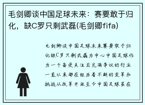 毛剑卿谈中国足球未来：赛要敢于归化，缺C罗只剩武磊(毛剑卿fifa)